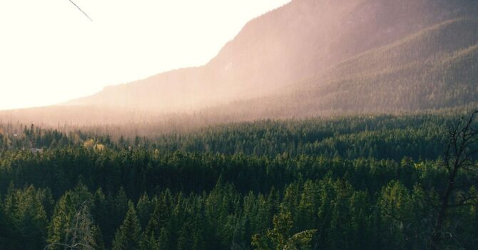Energy Healing